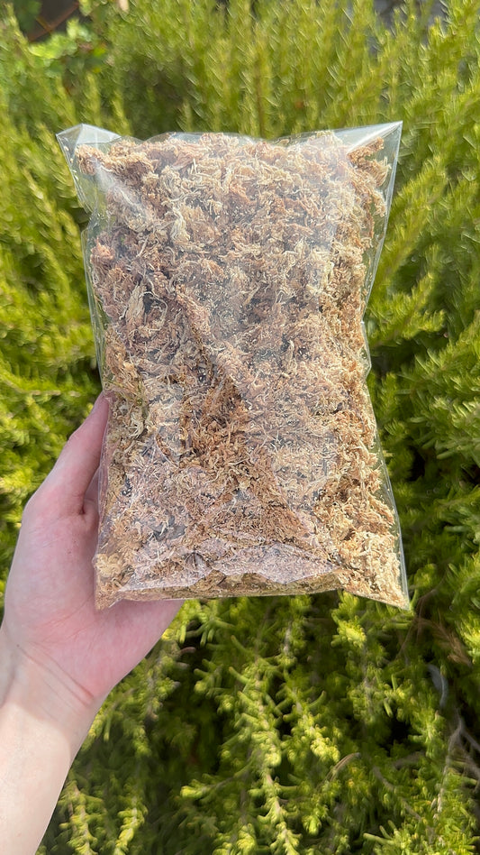 Sphagnum Moss - XL