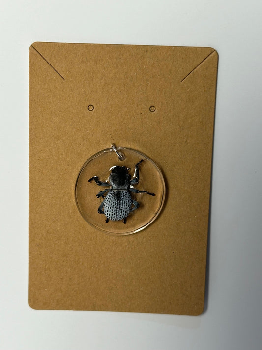 Blue Death Feigning Beetle - Resin Pendant