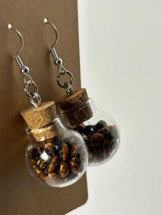 Ladybug Jar Earrings