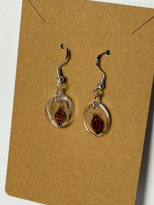 Ladybugs w/ Wings Out - Resin Earrings