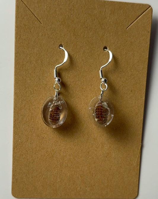 Isopods - Resin Earrings