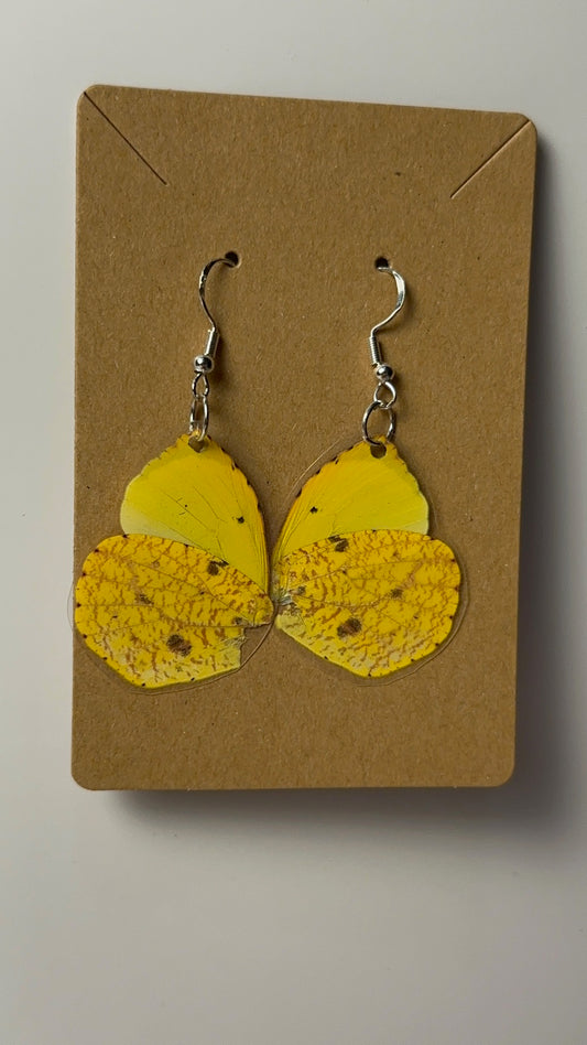 Yellow Variety Wing Earrings