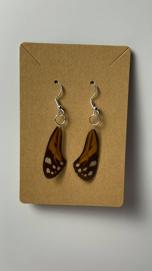 Orange & Brown Wing Earrings