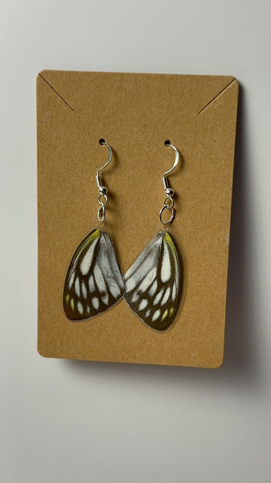 White & Yellow Wing Earrings