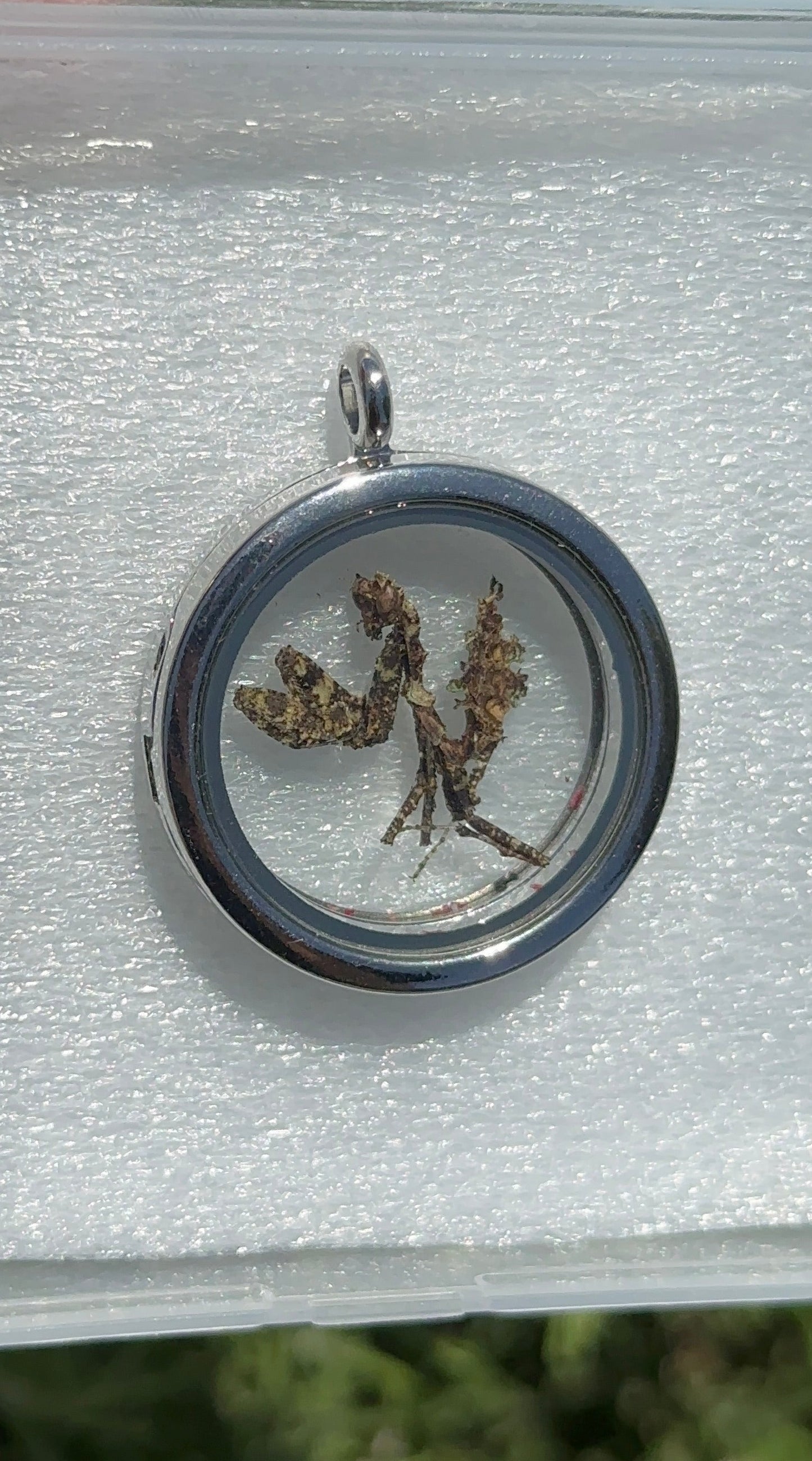 Moss Mantis Pendant - Silver