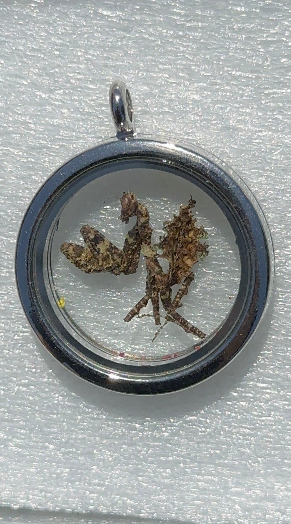 Moss Mantis Pendant - Silver