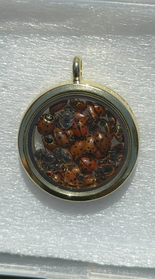 Ladybug Pendant