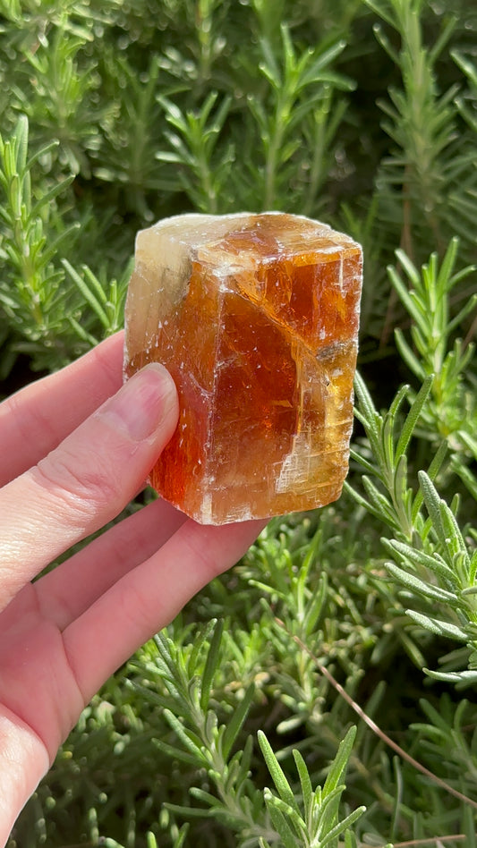 Amber Calcite