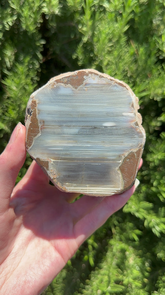 Lined Agate Geode - Medium